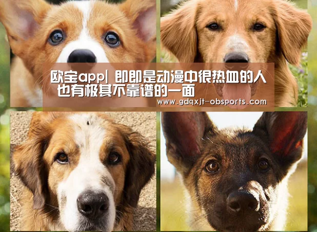 OB真人